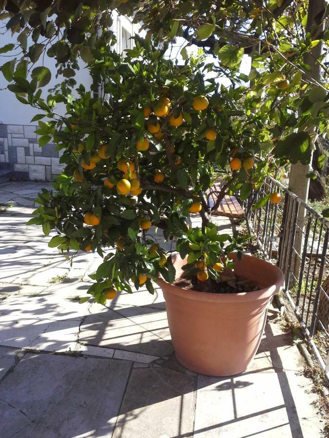 Apartma Bajci Ajdovščina Εξωτερικό φωτογραφία