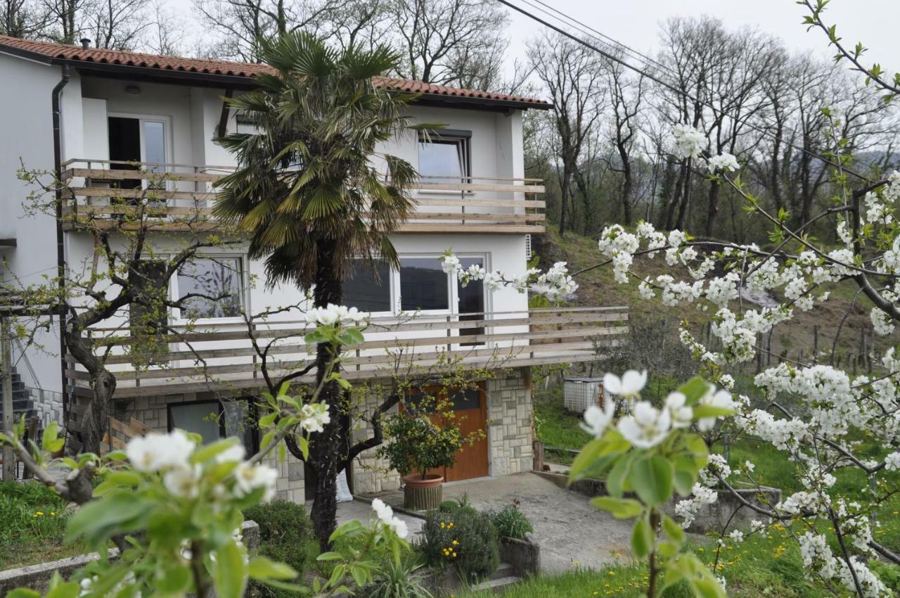 Apartma Bajci Ajdovščina Εξωτερικό φωτογραφία